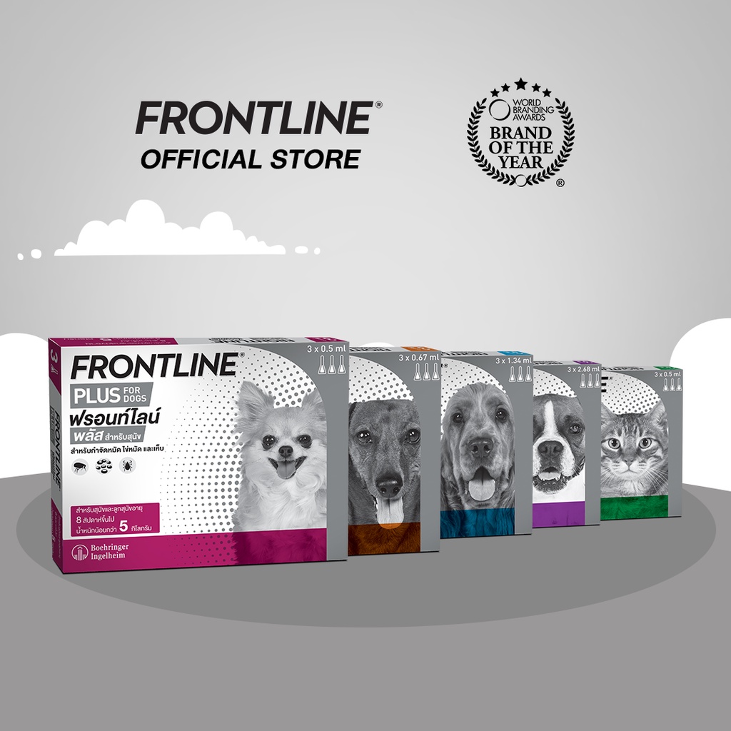 FRONTLINE PLUS ยาหยด ยากําจัดเห็บหมัดสุนัข ยี่ห้อไหนดี